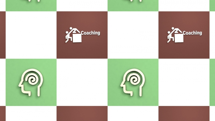 Coaching Ontol&oacute;gico y Piscolog&iacute;a Positiva