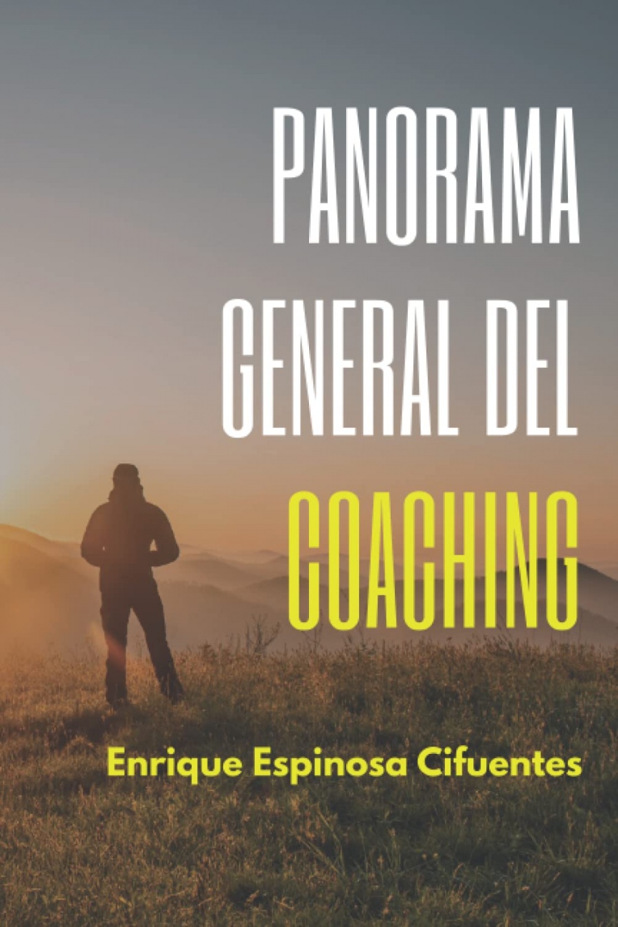 Panorama general del coaching